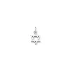 James Avery Artisan Jewelry Charms-Star Of David Charm